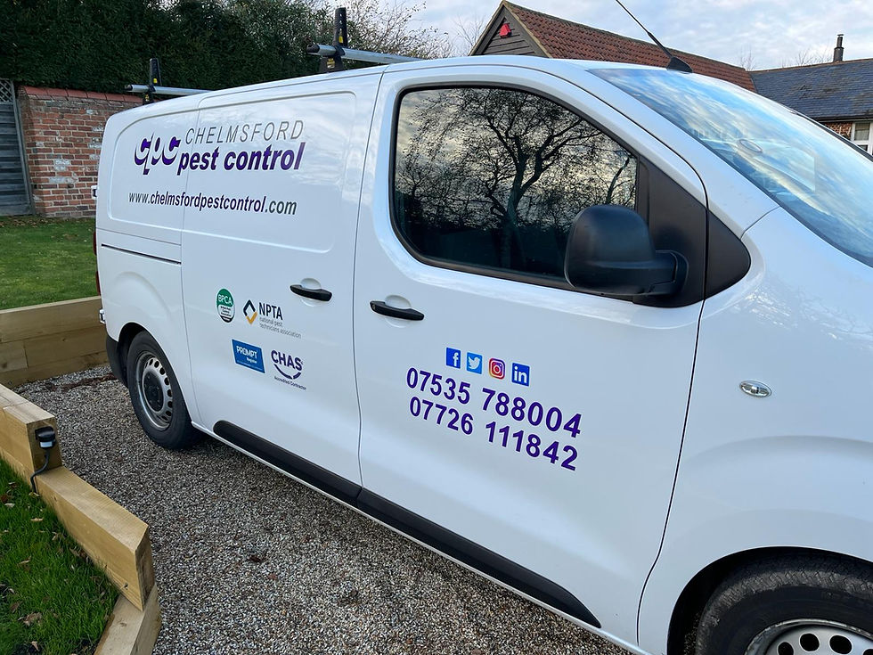 Free Website for Pest Control Companies guide for UK small businesses
